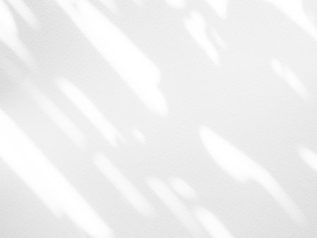 Shadow overlay effect on white wall. Abstract background and texture for design.の写真素材