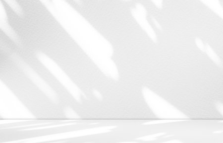 Shadow Studio Background,White Grey Abstract Light Overlay Leaf on Wall Table Product Podium Minimal Backdrop,Sun on blur Tree Plant Follage 3D Flower Empty Mockup Space Template Texture Floor Bar.の写真素材