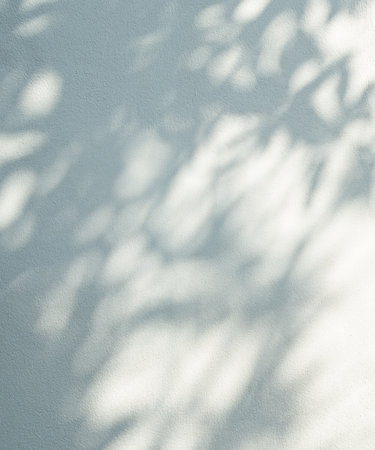 Abstract Shadow Leaf Flower Plant Background,Light Overlay Nauter Branch on White Wall Minimal Mockup,Backdrop Sunlight from Window on Marble Cement Wall Floor Stone,Template Product Beauty Cosmetic.の写真素材