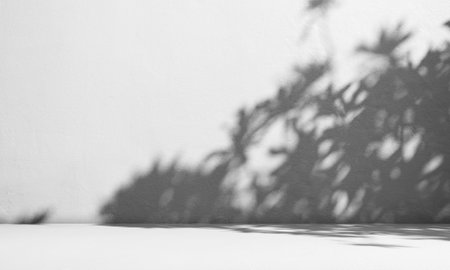 Background White Studio Room Product,Shadow Leaf on Wall Floor Backdrop,Light Overlay Grey Gradient Texture Loft on Cement Marble Minimal Template,Elegant Podium Stage Space 3d,Bg Tree Nature Plant.の写真素材