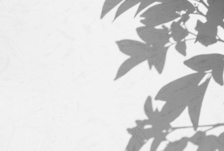 Shadow Background,Abstract Overlay Light on White Wall Backdrop Minimal Mockup,Texture floor...