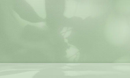 Green Shadow Background Table Product Cosmetic 3d,Overlay Leaf on Wall Podium Minimal,Abstract Leaves Minimal blur Cement Marble Room Studio Loft Summer Tropic,Pastel Light Nature Display Backdrop.の写真素材