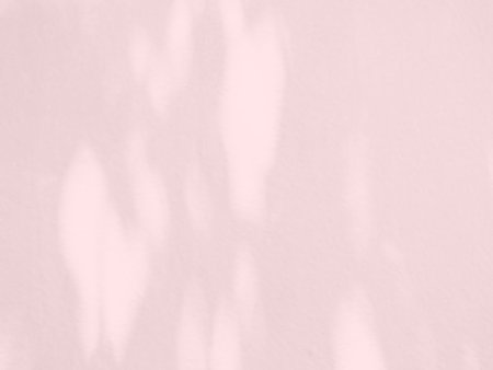Shadow Pink Background,Overlay Effect Leaves on Pattern Wall Floor,Abstract Floral Summer Texture Design Banner Nature,blur Light Plant Autumn on Cement Concrete Space Art Backdrop Beauty Cosmetic.の写真素材