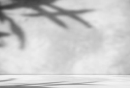 White Studio Room Shadow Background Table Product,Overlay Light on Wall Floor Grey Gradient Texture Backgdrop,3d Blur Cement Marble Stage Podium Mockup Minimal Elegant,Abstract Leaf Nature Plant Spaceの写真素材