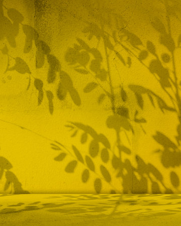 Yellow Shadow Background,Gold Studio Product,Concrete Cement Marble Loft Platform Paper Floor,Grunge Texture Desk Wall ,Oragne Color Solid Room Backdrop Empty Mockup Display Summer Kitchen 3d Templateの写真素材