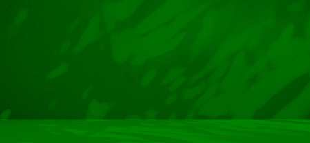 Green Shadow Background,Studio Room Gradient Empty Table Product,Photo Template Backdrop Wall Floor Canvas Design,Overlay Leaf on blur Cement Marble Loft Texture Template 3d Podium Stage Scene Nature.の写真素材