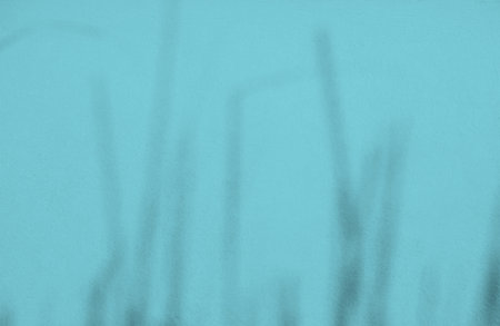 Blue Shadow Background,Abstract Texture Wall Floor,Soft Light Overlay Plant Leaves on blur Cement Marble Concrete,Backdrop Summer Template.の写真素材