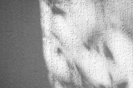 Shadow Leaf Background, White Light Overlay Abstract on Grey Wall Template Product, Minimal Plant Backdrop, Nature Sunlight Overlay Mockup from Window, blur Cement Marble Concrete, Gradient Texture.の写真素材