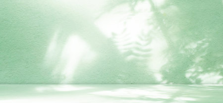 Green Shadow Studio Room Background, Table Product Aesthetic Cosmetic Summer Tropical Backdrop, Overlay Light Leaves Pastel on Wall Floor Podium Loft blur Cement Marble Minimal Kitchen Template Bar.の写真素材
