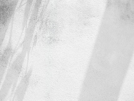 Light Shadow Background, Abstract White Overlay on Cement Marble Plant Backdrop, Sunlight from Window House on Minimal Mockup Wall Floor, Gray Photography Template Product, Room Concrete Construction.の写真素材