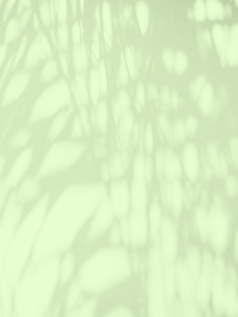 Green Shadow Background, Light Overlay Leaf Nature on blur Texture Cement Marble, Light Abstract Plant Lime Color Summer Tropical Spring Backdrop, Pastel Template Product, Sunlight from Window House.の写真素材