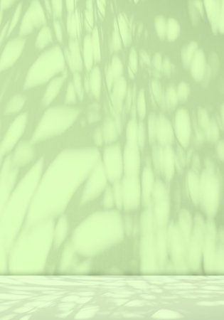 Green Shadow Background, Table Studio Room Product Cosmetic Spring Summer, Overlay Leaf Plant on blur Wall Cement Marble Loft Kitchen Podium 3d Minimal Mockup Backdrop, Abstract Light from Window.の写真素材