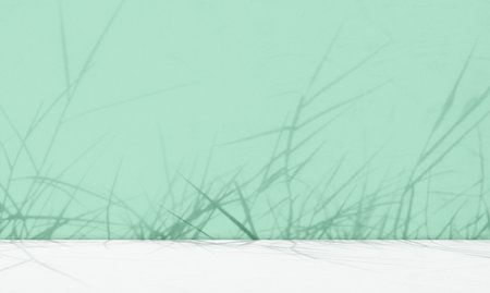 Green Shadow Summer Background, Podium Product Cosmetic Beauty, Abstract Leaves on blur Wall Cement Marble Loft Kitchen 3d Minimal Scene Mockup Platform Tropical.の写真素材