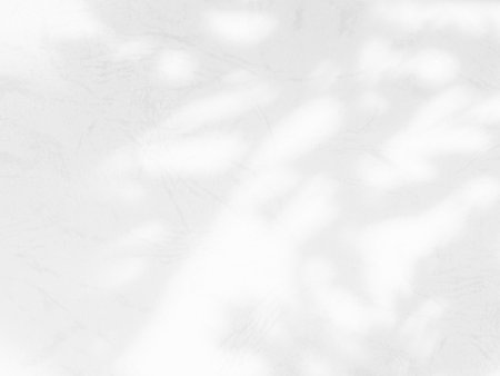 Shadow Leaf Background, Abstract Plant Leaves White Light on blur Cement Marble, Overlay Sun  Light Shade Nature Tree Floral Texture on Wall Floor Minimal Mockup Template Backdrop Space from Window.の写真素材