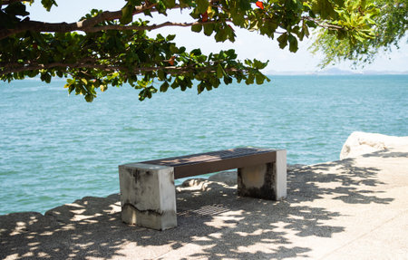 Table on Sea with Shadow Growth Tree at Coast, Beautiful Landscape Water Blue Ocean Island with Mockup Desk Product Cosmetic Background, for Tourism Travel Summer Tropical Holidays Vacation Resort.の写真素材
