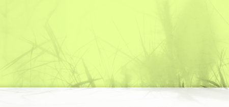Green Shadow Summer Studio Room Background, Podium Product Backdrop, Abstract Leaf Lemon Color Wall Floor Pastel Light Tropical Template, Platform Minimal Mockup Scene Space Stage Lime Color Cement.の写真素材
