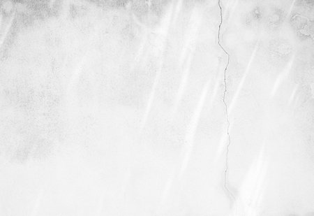 Shadow Leaf Plant on Cement Marble Background, Abstract Leaves Flower Overlay White Light Wall Floor Backdrop, Texture Gray Concrete with Light Branch Foliage  Minimal Mockup Scene Template Nature.の写真素材