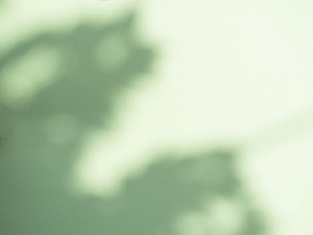 Green Shadow Leaf Background, Abstract Sunlight Leaves Nature Plant on Wall Backdrop, Overlay Light...