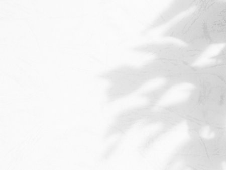 Shadow Leaf Plant Flower Background, Abstract Leaves Overlay Nature Branch Foliage Light White blur Floor Cement Marble, Sunlight from Window on Minimal Mockup Product, Grey Template Summer Tropical.の写真素材