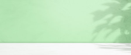 Green Background Summer Table Product Shadow on Wall, Abstract Leaves Light Overlay Pastel Tropic Studio Room Backdrop Podium Empty Floor Kitchen Gradient 3d Bg Backdrop Surface Texture Mockup Displayの写真素材