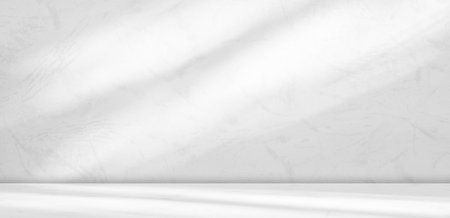 Floor Wall Shadow Room Background Studio Home Texture Empty blur Marble Cement Gray Modern Light Kitchen Backdrop Table Product Abstract Leaf Grey Stone 3d Bg Minimal Scene Loft Podium Mockup Platformの写真素材