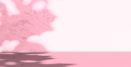 Pink Shadow Flower Studio Room Background Soft Pastel Gradient Paper Petal Spring Wall Floor Table Product Beauty Spa Cosmetic Platform Two Tone 3d Bg Mockup Loft Kitchen Scene Backdrop White Stage.の写真素材