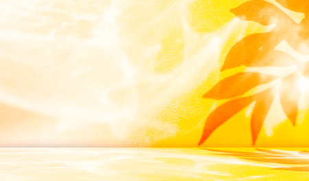 Yellow Shadow Summer Background Abstract blur Leaf Plant Tree Spring Nature Veiw Texture Floor Wall Minimal Scene Lemon Fruit Food Color Hot Sun Empty Display Clean Template Tropical 3d Bg Gradient.の写真素材