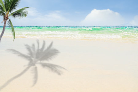 Sea Ocean Water on Sand Beach with Tree Palm Blue Horizon Background, Texture Surface Calm Wave Summer Shadow Leaf Day Light Tropical Landscape Nature Sky Backdrop, Seascape Wallpaper Island at Coastの写真素材