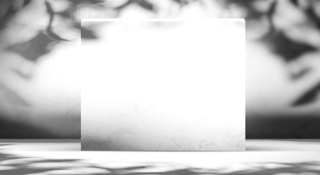 Gray Studio Light Shadow Leaf Backdrop Gradient Bg Empty Photography Abstract Floor Room Frame Partition White Wall Overlay Texture Table Product Background Minimal Kitchen Podium Scene Loft 3d Bar.の写真素材
