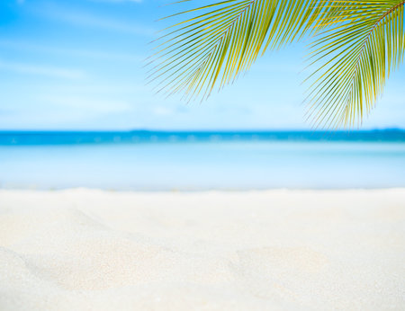 Sea Background Shore Blue Water White Sky Season Palm Leaf Summer Tropical Ocean Beautiful Wave Seascape Vacation Smooth Wallpaper Island Outdoor Tropical Coast Sandy Nature Landscape Space for Travelの写真素材