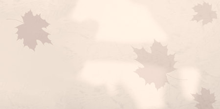 Autumn Background Fall Foliage Branch Beige Abstract Poster Party Thanksgiving Design Shadow Leaf Maple Pattern Banner Festival Social Template Yellow Light Pastel Wallpaper Wall Mockup Display Scene.の写真素材