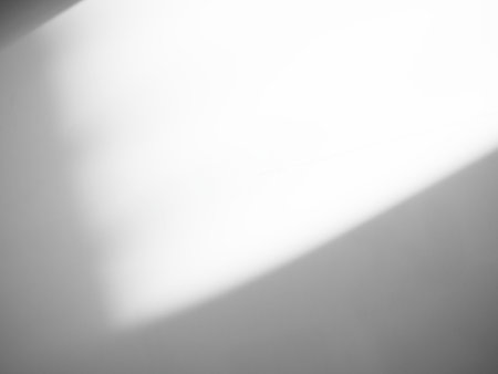 Shadow Effect Background Mockup Black Frame Reslistic Shade Gray Leaf Overlay Leaves Tree Tropic summer Plant Light White Floor Abstract Sunlight Backdrop Minimal Mockup 3d Bg Wall Nature Sun Scene.の写真素材