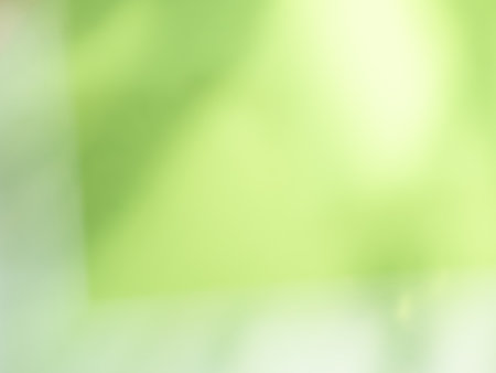Green Background blur Leaf Plant Spring Mockup Organic Eco Environment Spring, Fresh Light Grass Overlay Abstract Gradient Pastel Texture Wall Floor Nature Mockup Award Backdrop minimal Template.の写真素材