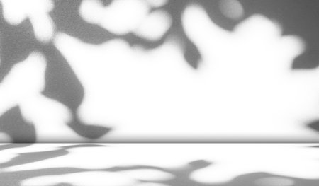 Background Light Shadow white Wall Abstract Gray Minimal Product Room Leaves from Window Minimal Photography Modern Overlay Mockup Presentation Floor Kitchen Wall Concrete 3d Bg Cement Backdrop.の写真素材