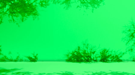 Green Background Shadow Luxury Award Elagant Texture Gradient Paper Wall Floor Fabric Pattern Grunge...