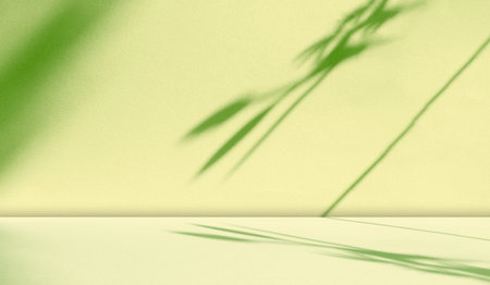 Green Background Shadow Luxury Award Elagant Texture Gradient Paper Wall Floor Fabric Pattern Grunge Studio Product Backdrop Podium Empty Bg Kitchen Table Two Tone Pastel Platform Presentation Place.の写真素材