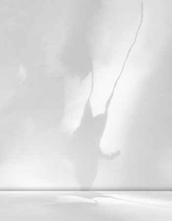 Background Floor Shadow Kitchen Concrete Wall White Texture Light Texture Abstract Mockup Product...