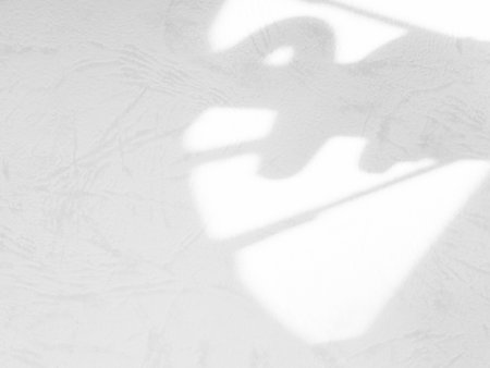 Shadow Background wall Light white Abstract Backdrop Sunlight Sun Mockup Overlay Minimal Summer Gray...