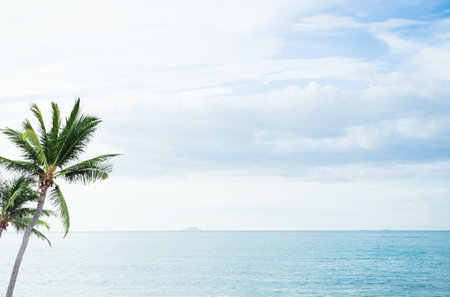 Sea Travel Background Blue Sky Ocean Water at Coast Palm Tree Horizon Travel Summer Nature Season Beautiful Wallpaper Seascape Island Outdoor, Tropical Smooth Spash, Tourism Vacation Holidays.の写真素材