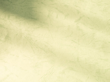 Green Background Shadow Leaf Abstract Minimal Eco Evergreens Environment Presentation Mockup Product Backdrop Effect Wall Floor blur Cement, Temaplate Scene Display Marble Empty Fasion Sale Card.の写真素材