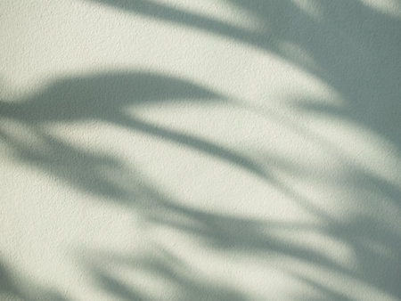 Green Beige Background Shadow Leaf Abstract Minimal Eco Evergreens Environment Presentation Mockup...