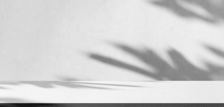 Background Floor Shadow Wall Kitchen Concrete White Texture Light Texture Abstract Mockup Product Marble Room Studio Display Plant Cement 3d Bg Minimal Shelft Bar Silhouette Leaves Backdrop Vintage.の写真素材