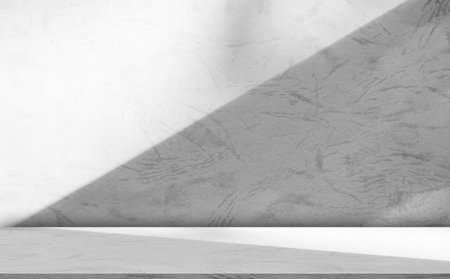 Background Floor Shadow Wall Kitchen Concrete White Texture Light Texture Abstract Mockup Product Marble Room Studio Display Plant Cement 3d Bg Minimal Shelft Bar Silhouette Leaves Backdrop Vintage.の写真素材