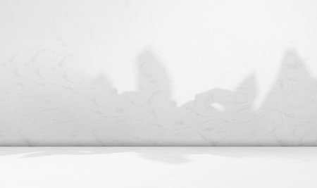 Background Floor Shadow Wall Kitchen Concrete White Texture Light Texture Abstract Mockup Product Marble Room Studio Display Plant Cement 3d Bg Minimal Shelft Bar Silhouette Leaves Backdrop Vintage.の写真素材