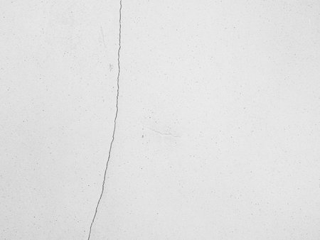Crack Wall Texture Earthquake Broken Damage Concrete Cement Building White Background Break Piece Stone Scratch Grunge Line Crash Fracture Peeling White Grey Broken Structure Worn Dry Home Peel Stuccoの写真素材