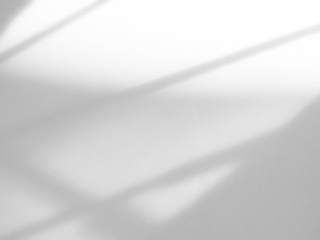 Shadow Background Abstract Leave Overlay Wall Floor Light Effect White Plant Sunlight Backdrop Mockup Minimal Spring Summer Nature Grey blur Photography Scene Template Poster Card Frame Product.の写真素材