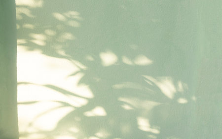 Green Background Abstract Overlay Shadow Leaf blur Cement Paper Mockup Product Beauty Cosmetic or Backdrop Template Eco System Environment Nature Clean Carbon, Card Art Retro Frame Wall Floor Web.の写真素材