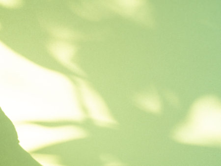 Green Background Abstract Overlay Shadow Leaf blur Cement Paper Mockup Product Beauty Cosmetic or Backdrop Template Eco System Environment Nature Clean Carbon, Card Art Retro Frame Wall Floor Web.の写真素材