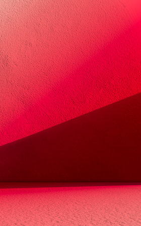 Red Background Abstract Shadow Leaf Black Gradient Pastel Studio Room Product Loft Scene Floor Wall...
