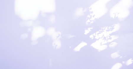 Purple Background Abstract Backdrop Effect Overlay Pastel Gradient Color Mockup Product Cosmetic...
